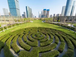 Navigating the DEI and ESG Maze- Unraveling Corporate Confusion