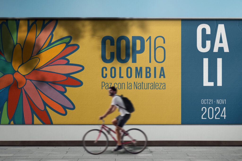 3 Emerging Business Trends Leading Up to COP16