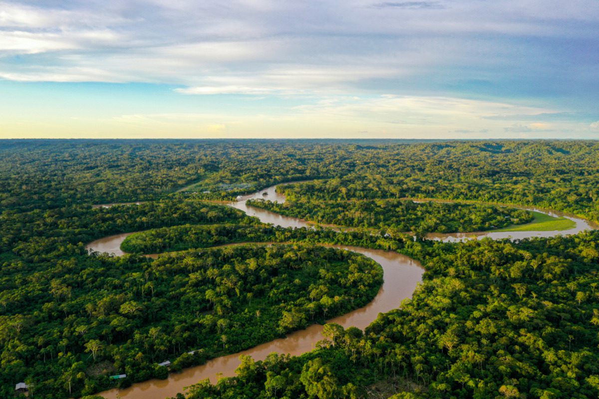 Amazon Reforestation-Linked Bond