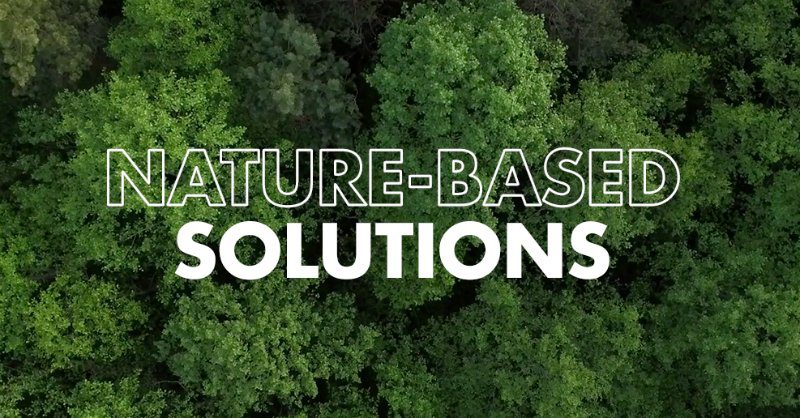 CPI Identifies Three Key Levers to Boost Investments in Nature-Based Solutions