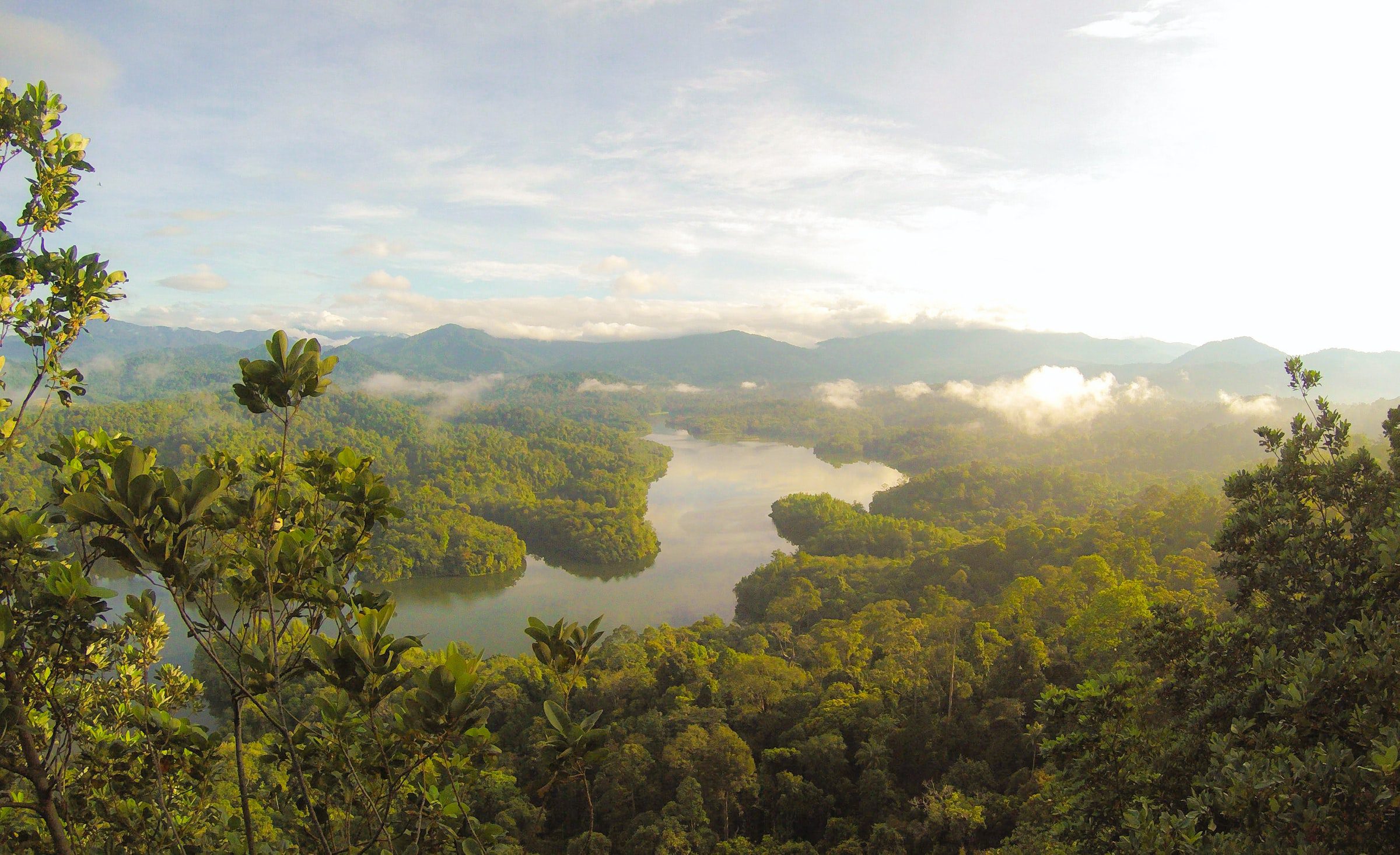 Global Finance and Biodiversity Pavilion Set to Launch at UN Biodiversity Conference COP16