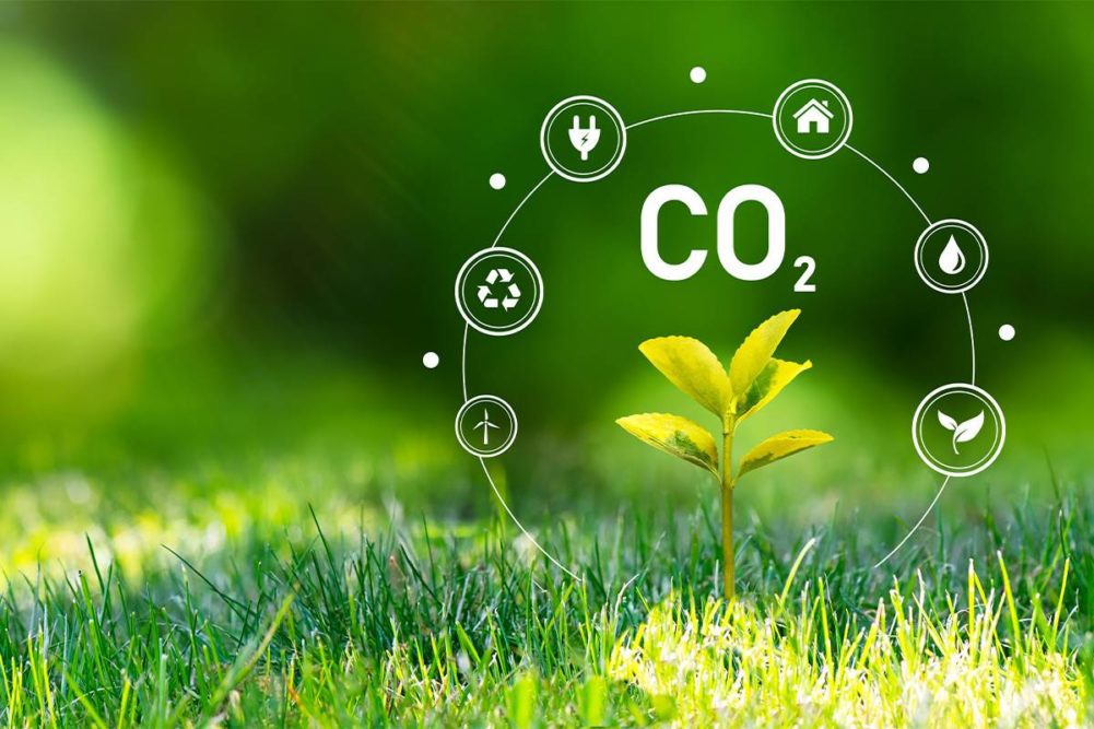 Mastering Carbon Emissions Reporting: What CFOs Need to Know in 2024