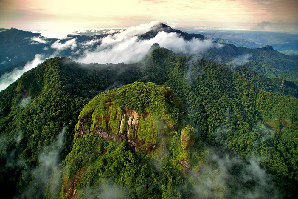 Panama Advances 30x30 Biodiversity Plan with Comprehensive Strategy to Protect Natural Resources