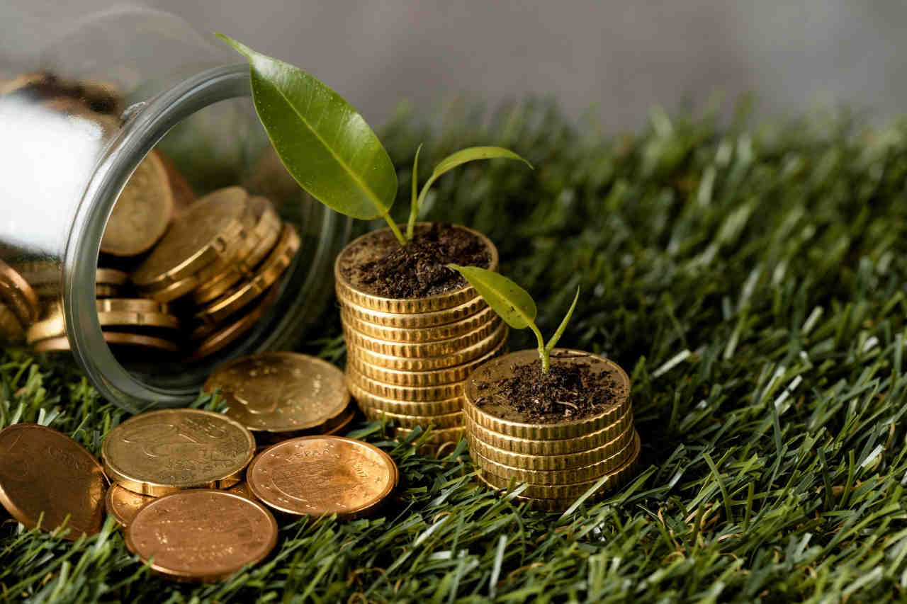 Top Eco-Friendly Banks for 2024- Pioneering Green Banking Practices