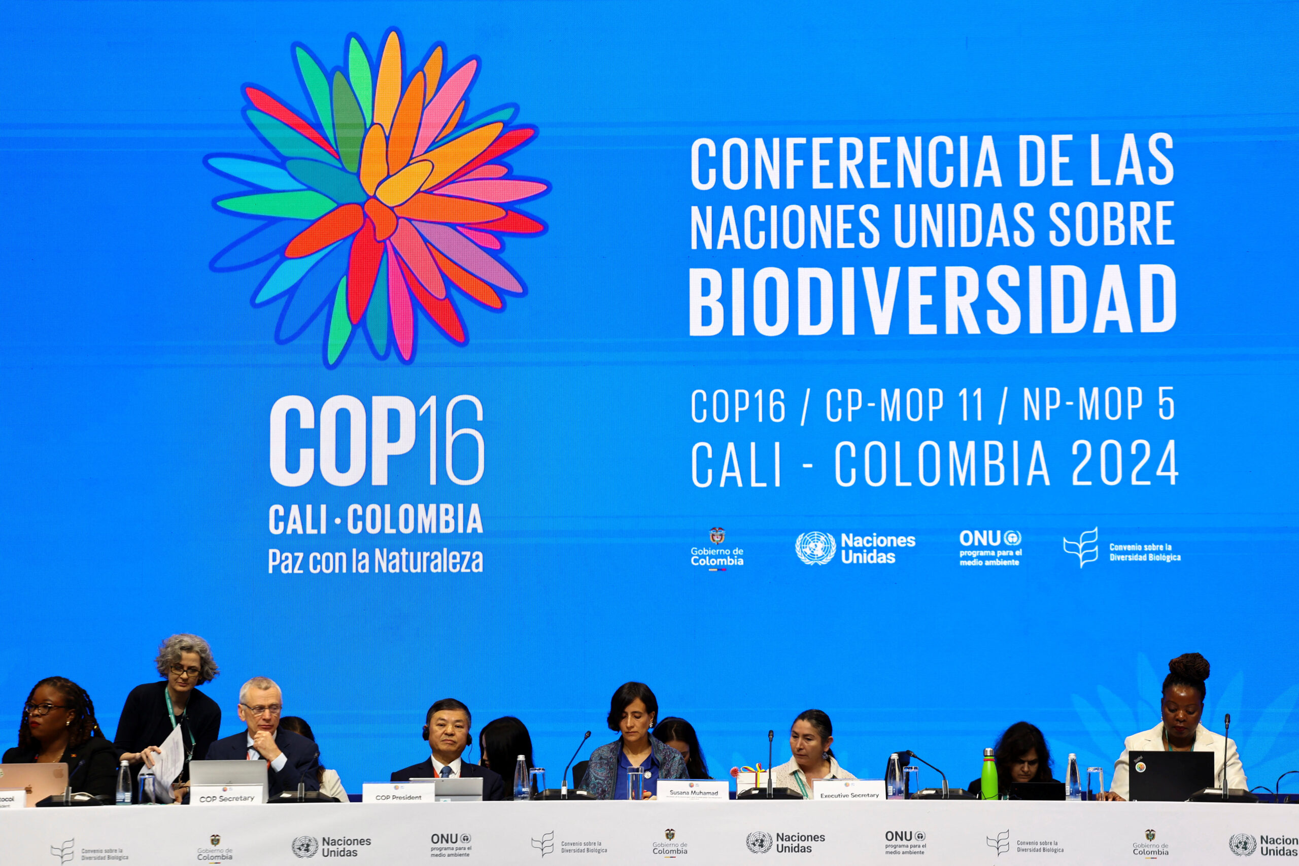 Whats happening at COP16