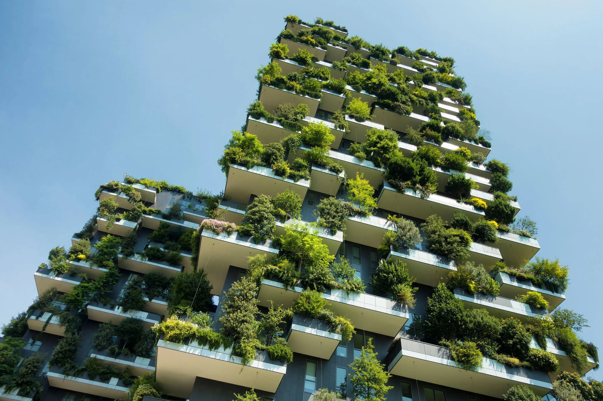 Banks and Debt Providers: Unlocking Green Finance for Real Estate Decarbonization