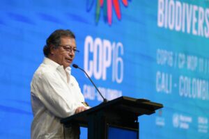 COP 16 vs COP 29: Key takeaways and the Fight for Funds