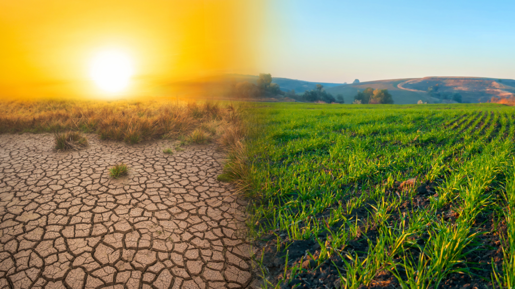 Feeding the Planet Without Cooking the Climate