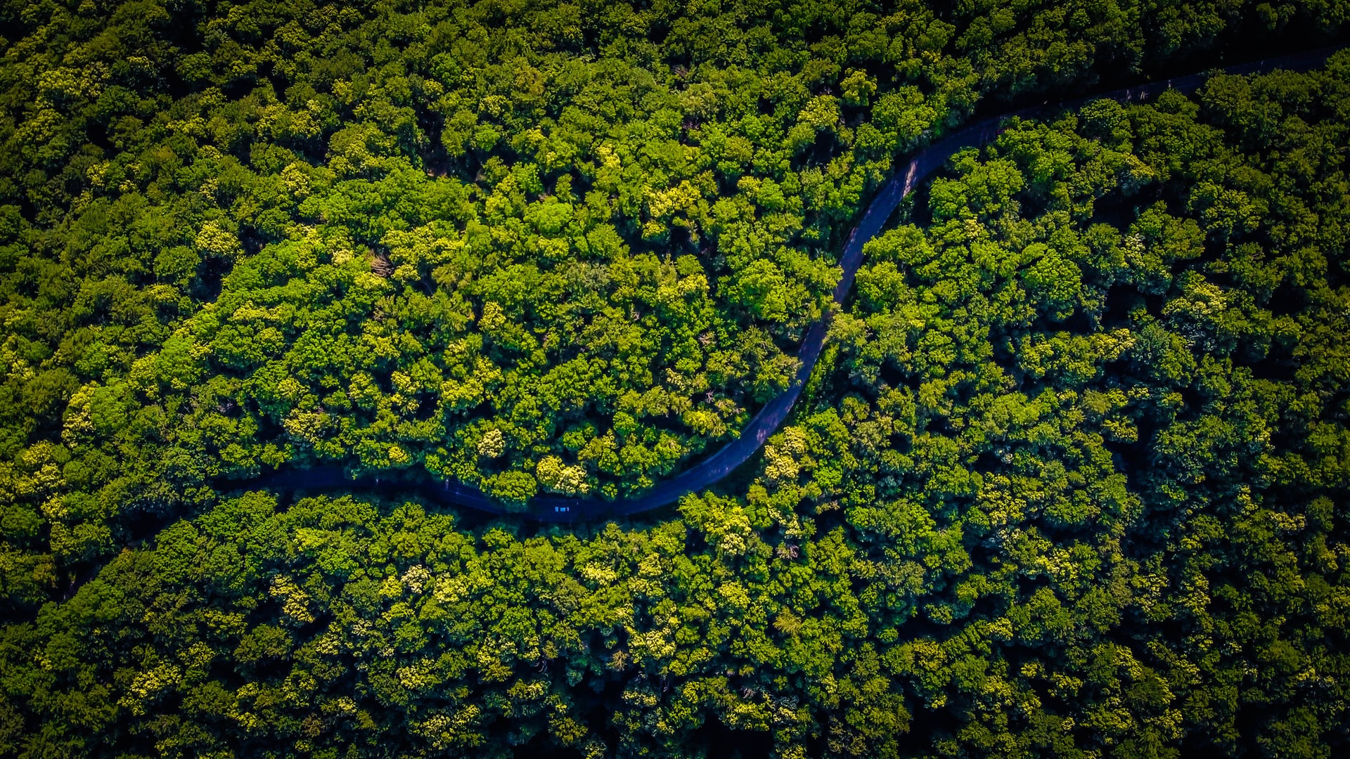 Countries Push for $200 Billion Nature Finance Deal Amid Growing Uncertainty