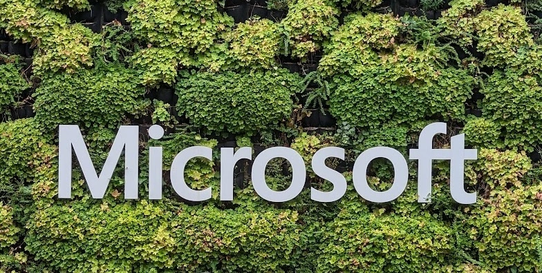 Microsoft Roots Its Largest APAC Carbon Deal in India’s Panna Forest