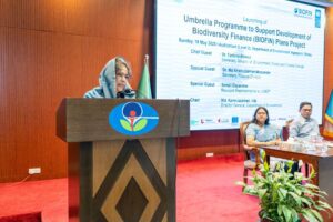 Bangladesh Launches Biodiversity Finance Initiative to Bridge Nature Funding Gap