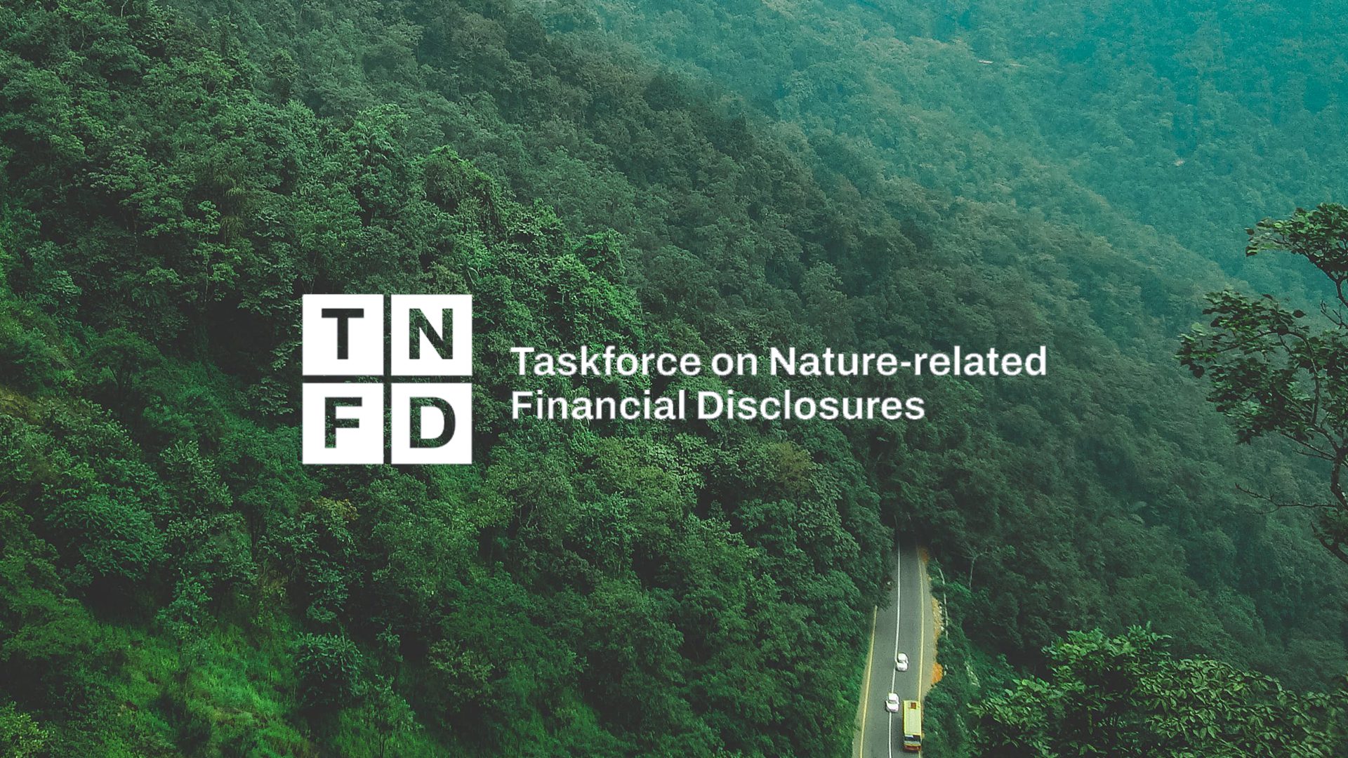 TNFD releases “Asking Better Questions on Nature” for board directors