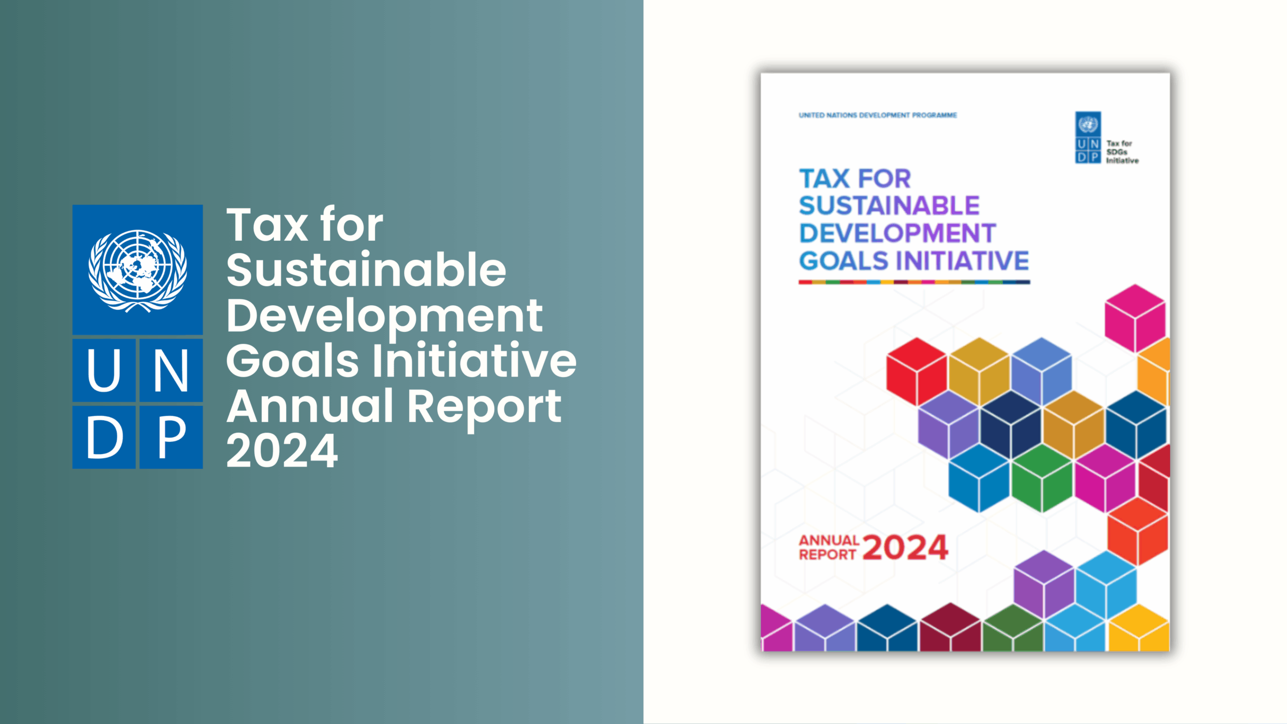Tax for Sustainable Development Goals Initiative Annual Report 2024