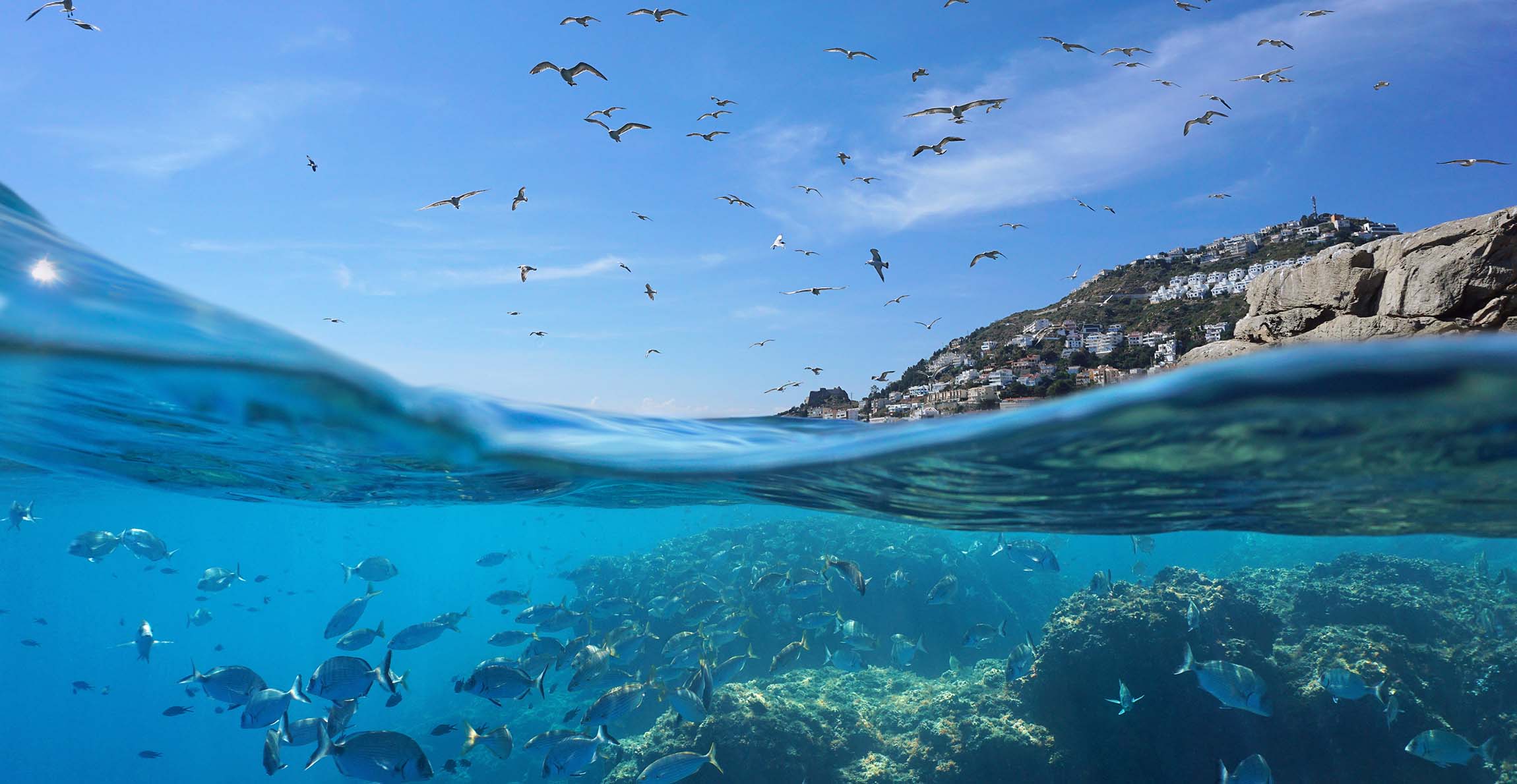 UN Launches Ocean Investment Protocol to Guide $5.5 Trillion Sustainable Blue Economy by 2050