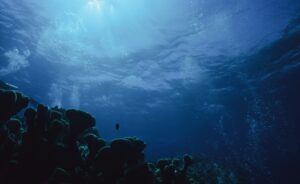 What Is Blue Finance? How a $24 Trillion Ocean Market Is Beginning to Make Waves