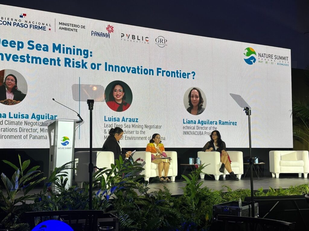 Deep Sea Mining: Investment Risk or Innovation Frontier?