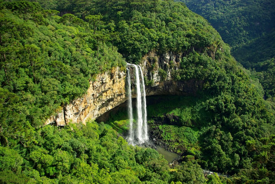 Brazil Prosecutors Move to Block $180M Amazon Carbon Credit Deal Ahead of COP30