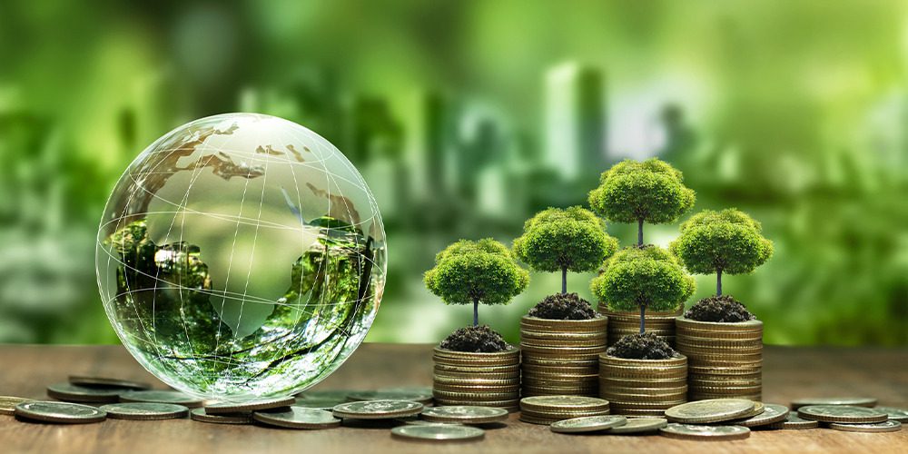 Follow the Money: Why Sustainable Finance Is the Smartest Bet for a Resilient Future