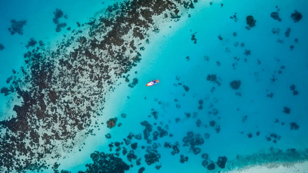 June 8 is World Oceans Day: Here's What You Need to Know