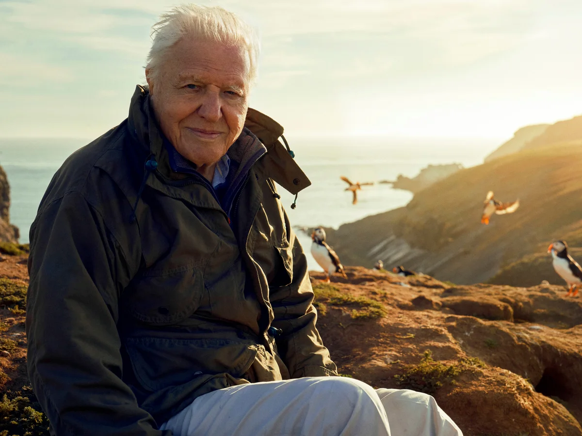 SDG News Spotlight of the Week: Sir David Attenborough