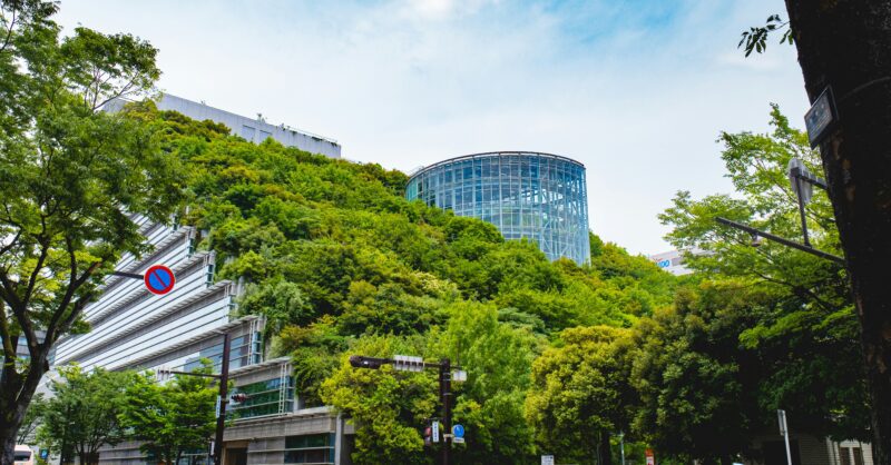 Sustainable Finance Taxonomies Key to Driving Nature-Positive Investments, Say UNEP FI and WWF