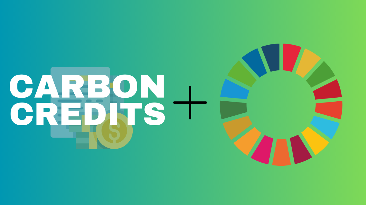 UN's Gold Standard Publishes Engineered Carbon Removal Guidelines to Accelerate High-Integrity Projects