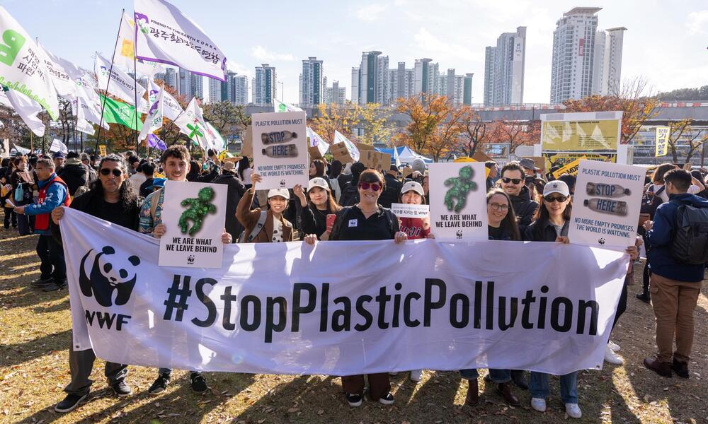 WWF Urges Global Leaders to Finalize Binding Plastics Treaty at Geneva Talks
