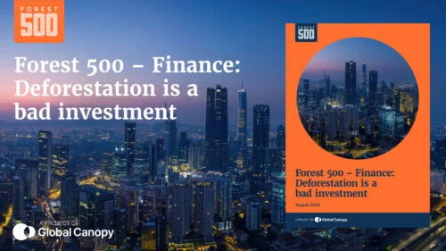 Financial Giants Fuel $8.9 Trillion Deforestation Economy, Forest 500 Warns