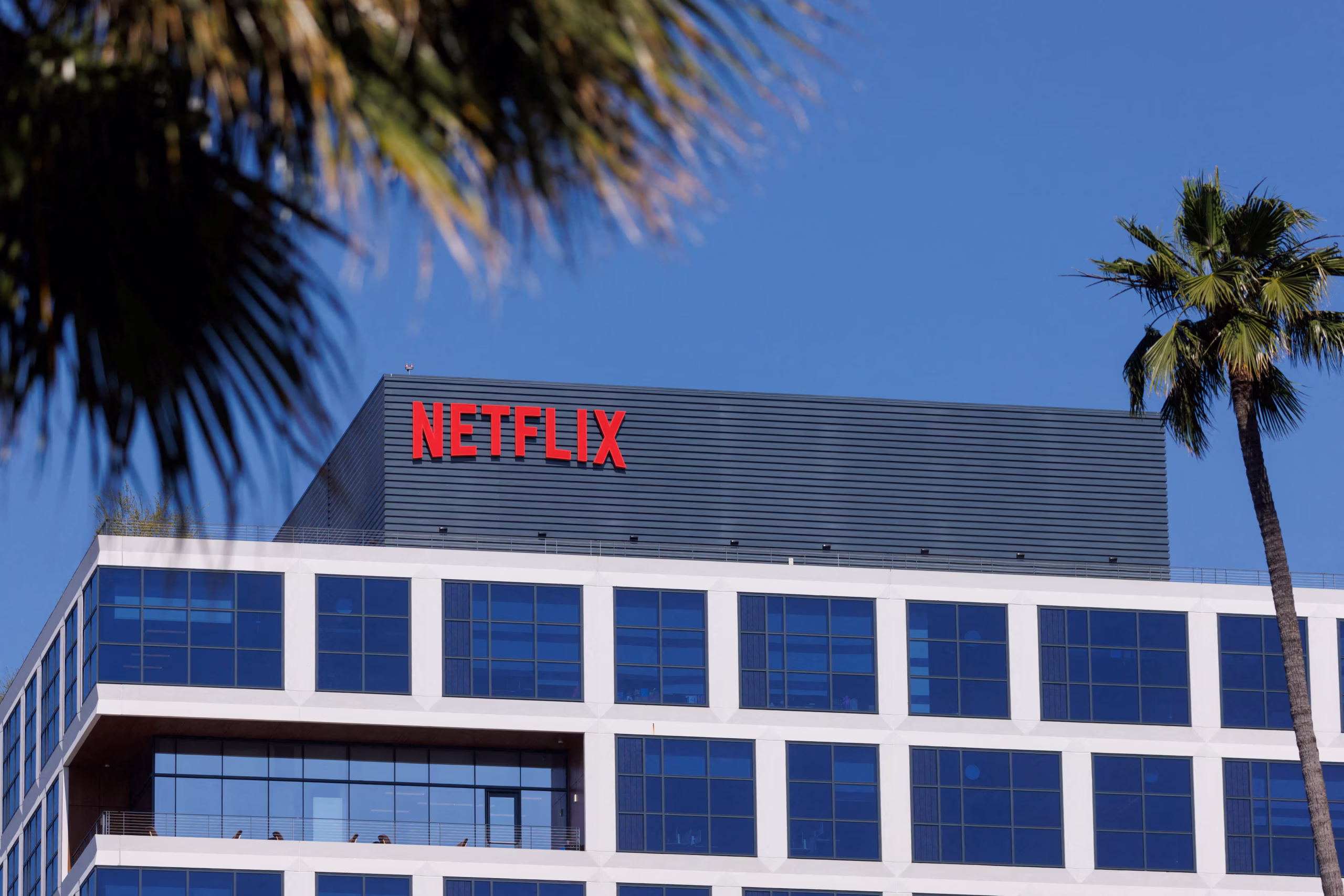 Netflix Strikes 15-Year Carbon Credit Deal with American Forest Foundation