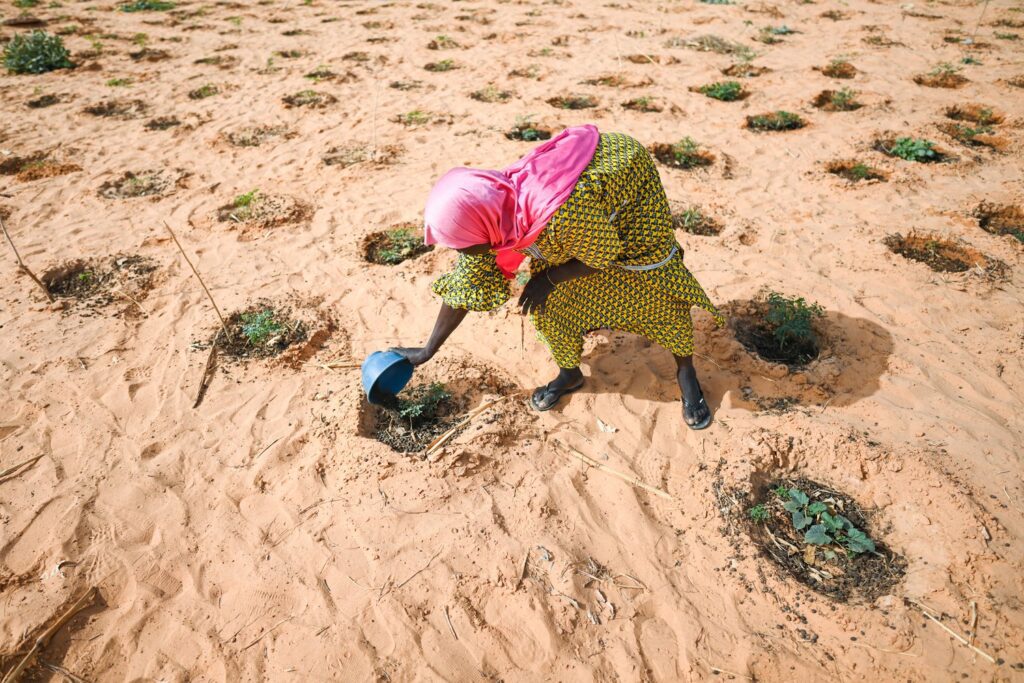 The Sahel’s Silent Exodus- A Crisis of Climate, Conflict, and Survival