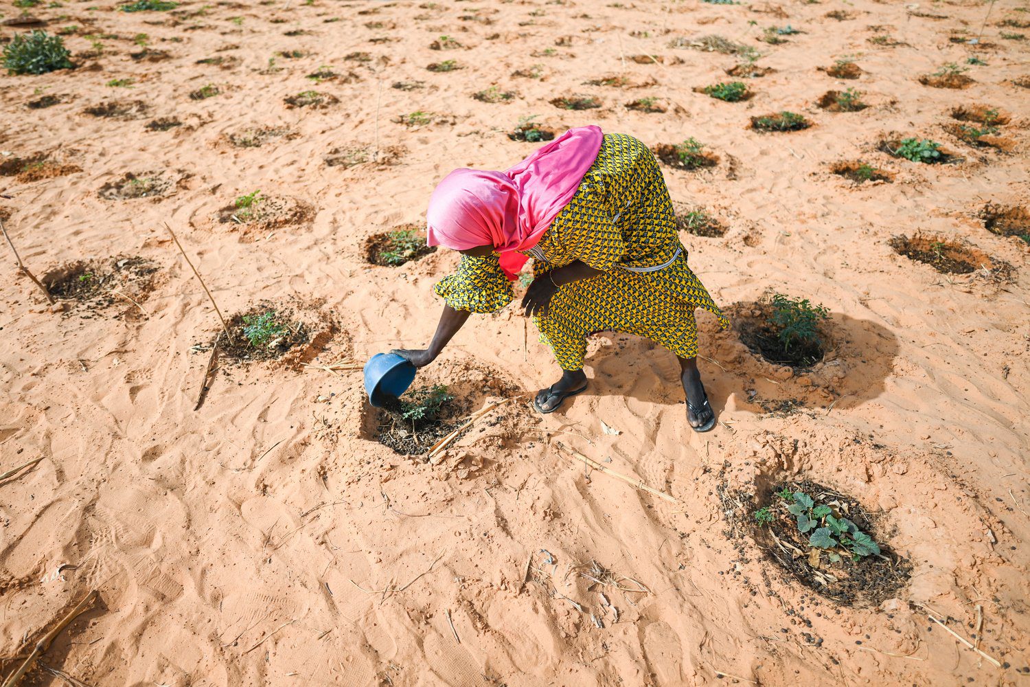 The Sahel’s Silent Exodus- A Crisis of Climate, Conflict, and Survival