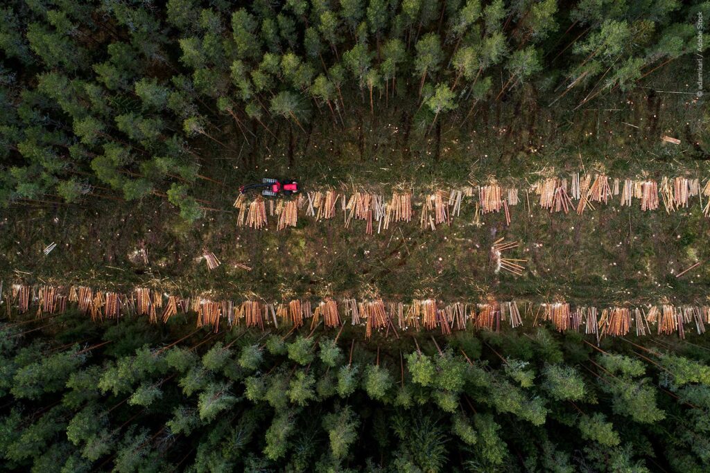 European Parliament Agrees to Delay EU Deforestation Regulation and Ease Supply Chain Rules