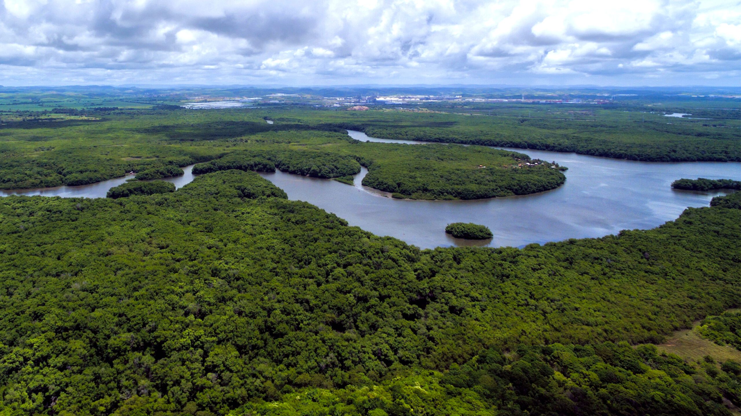 IDB Amazon Restoration Guarantee Launches First Multilateral Backing for Forest Recovery at COP30