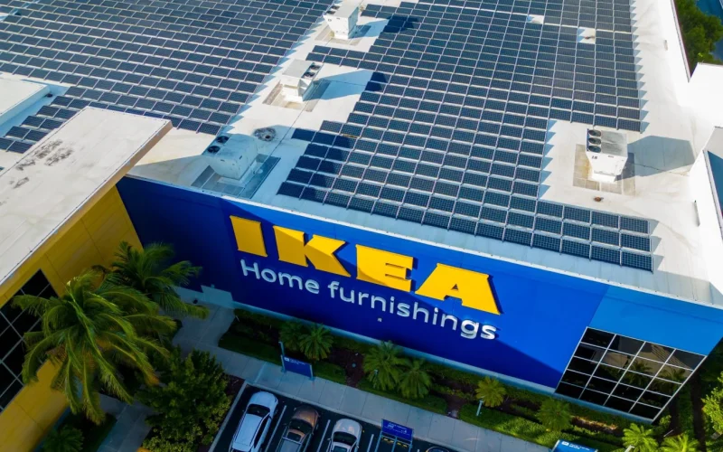 IKEA Launches Forest Investment in Brazil’s Atlantic Forest Under €100M Climate Plan