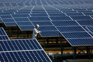 Japan Mega-Solar Regulations Tighten to Protect Nature and Landscapes