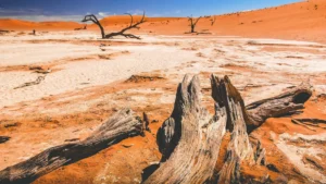 According to insights from the State of Finance for Nature 2026, the most comprehensive analysis to date of how capital flows interact with ecosystems