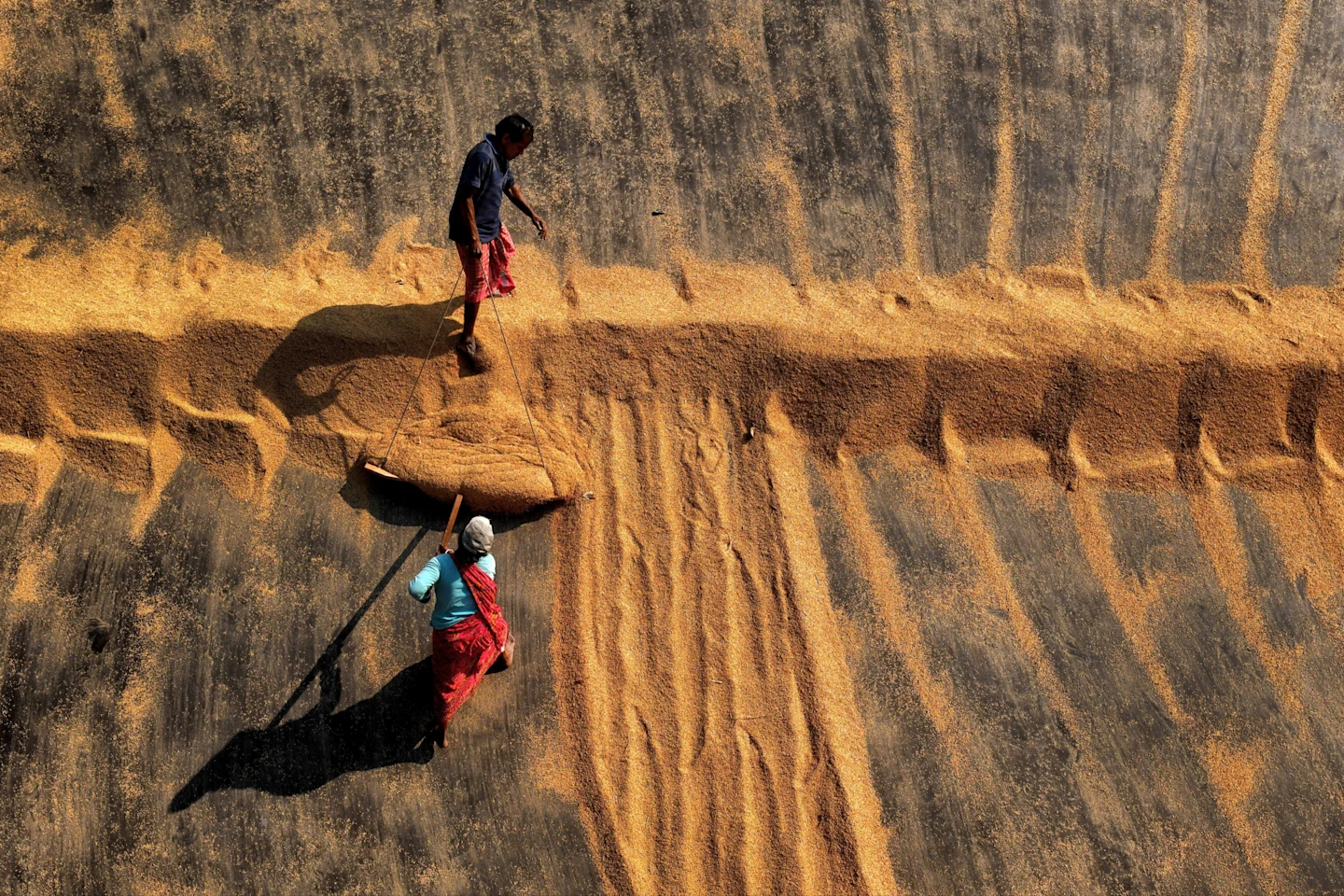War, Fertilizer, and the Fragility of Food: Inside a Crisis Spreading Across Global Markets