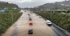 When a City Floods in Minutes: Wellington’s Latest Deluge Signals a New Climate Reality