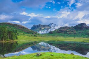 Nature Impact Fund