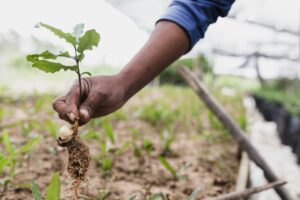 From ESG to Enterprise Risk: UNEP Unveils New Framework for the Future of Banking