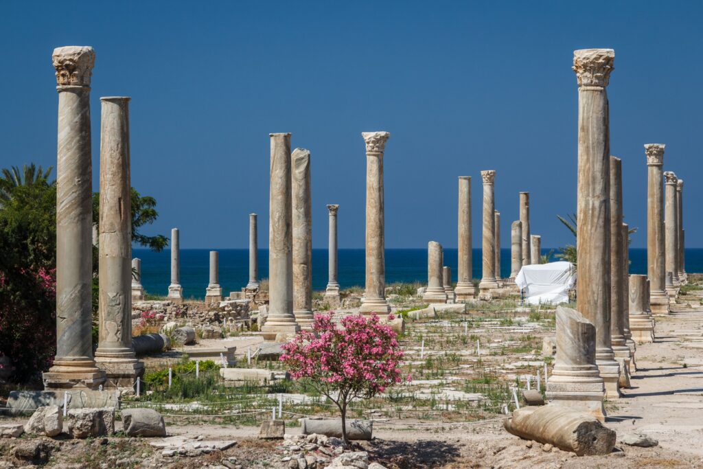 Heritage Under Threat- UNESCO Takes Emergency Action to Protect Six World Heritage Sites