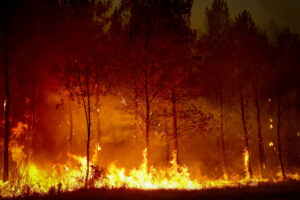 Historic Wildfires Sweep France and Spain, Putting Europe's Climate Resilience to the Test