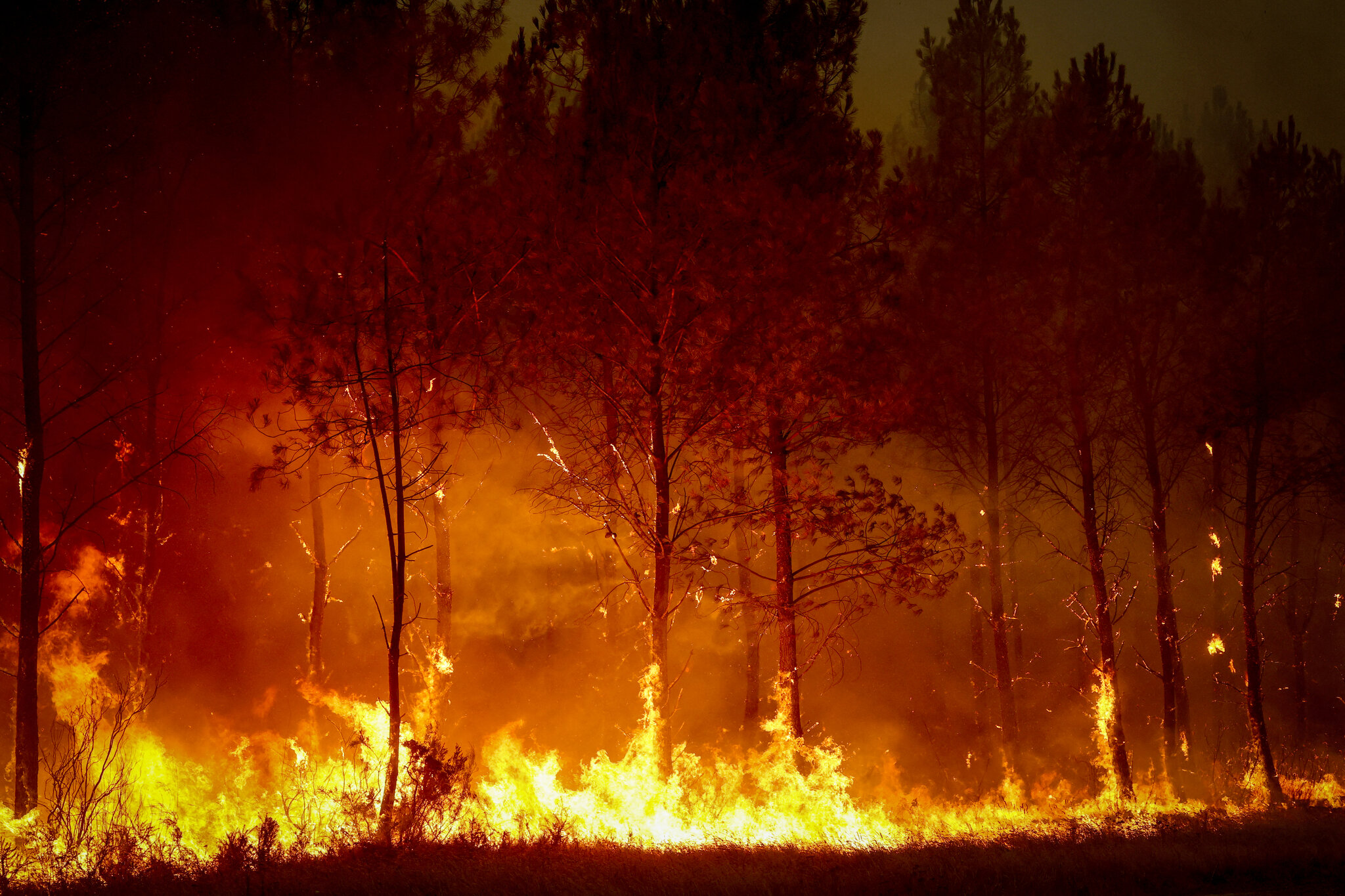 Historic Wildfires Sweep France and Spain, Putting Europe's Climate Resilience to the Test