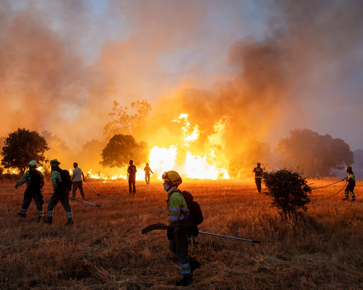 The Science Behind Europe's Wildfires: New Study Shows Climate Change Greatly Increased Fire Risk