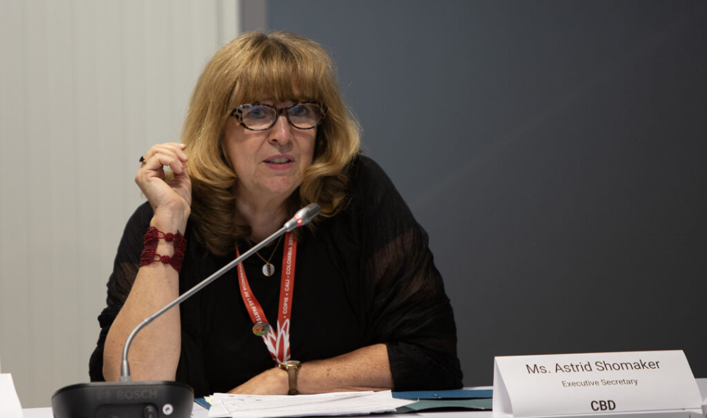 Biological Diversity Executive Secretary Astrid Schomaker is calling for faster corporate assessment of nature-related risks