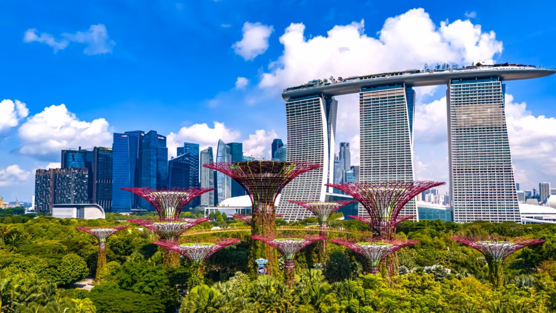 Carbon Market Infrastructure Consolidates as Singapore and London Platforms Merge