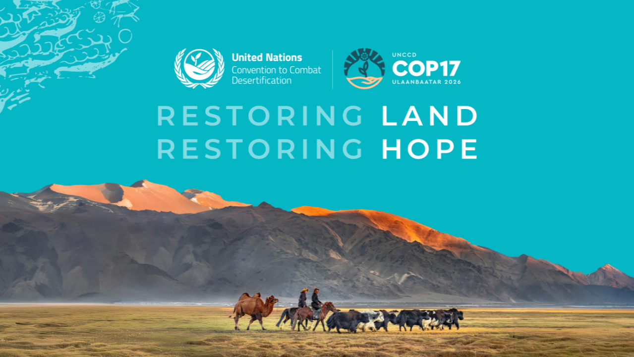 Degraded rangeland in Mongolia, host of the UNCCD COP17 summit on land degradation