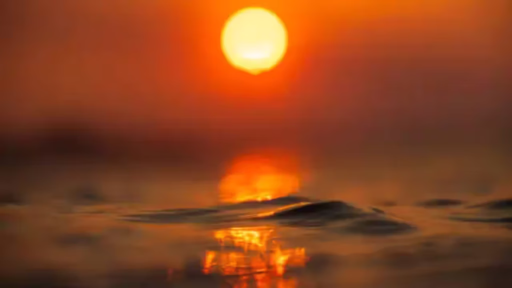 Warm Mediterranean coastal water during a summer marine heatwave in Europe
