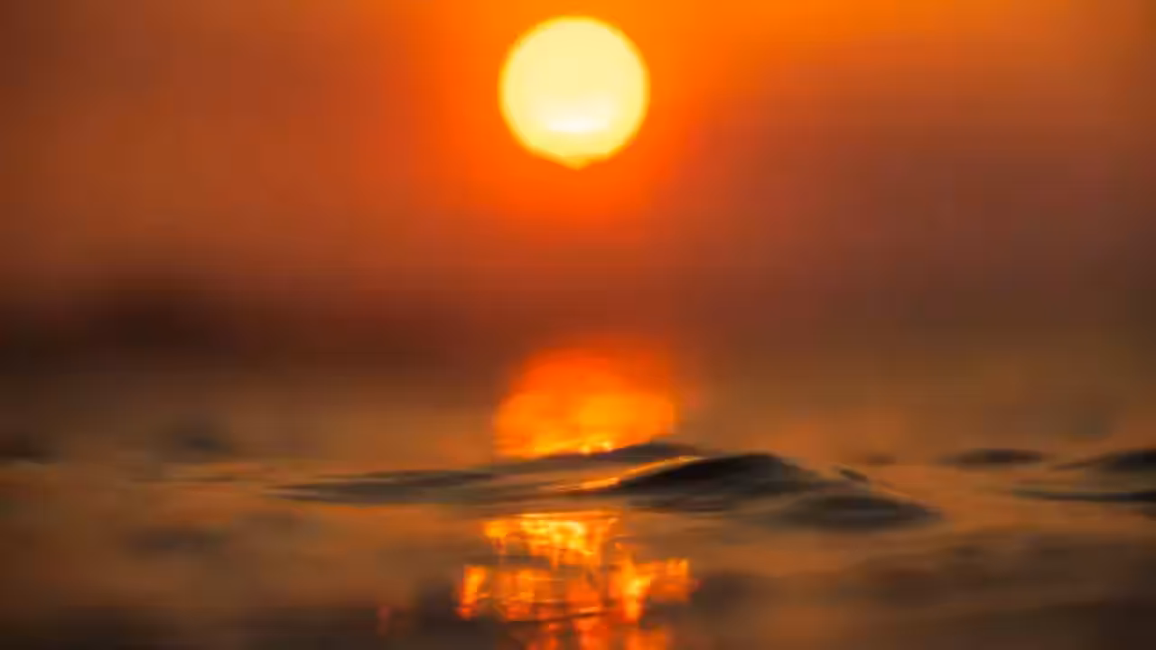 Warm Mediterranean coastal water during a summer marine heatwave in Europe