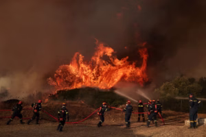 Europe’s Wildfires Are Exposing a Growing Insurance Gap